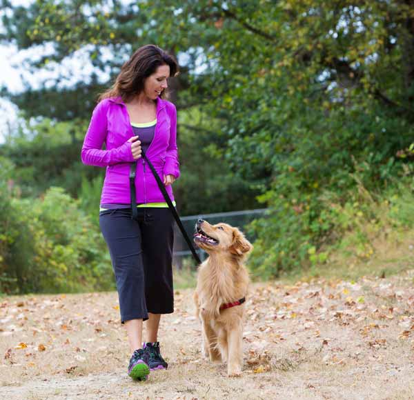 Advanced Dog Obedience Training in California K9 Companions